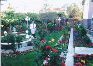 Bahçe Resim